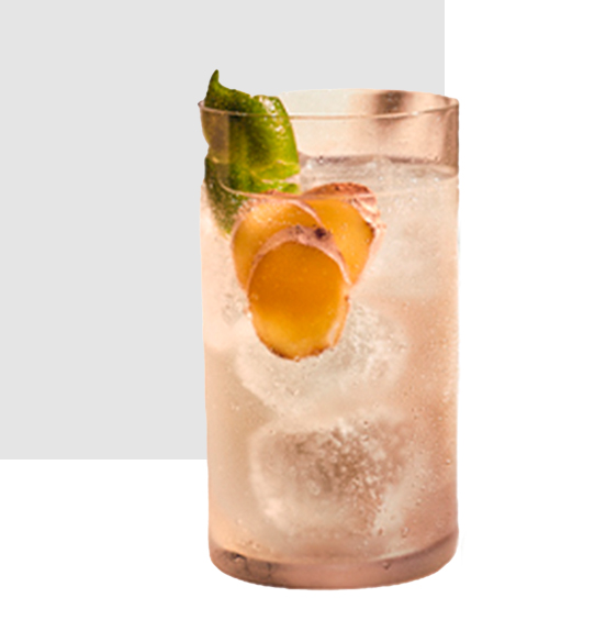 coctel new mule