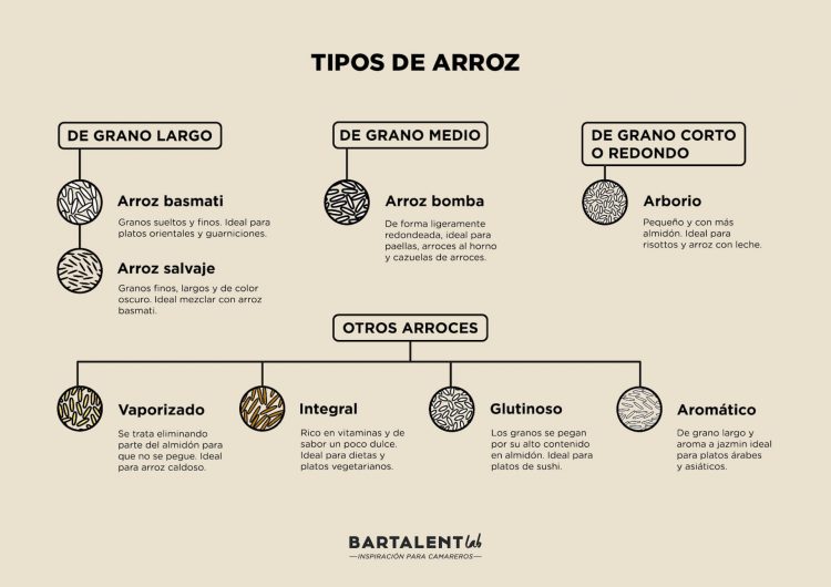 Tipos de arroz