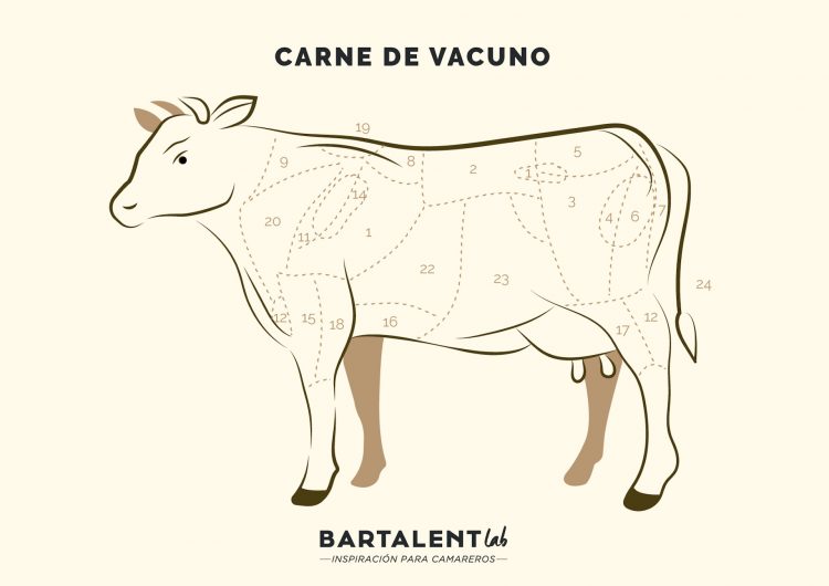 Infografía carne de vacuno