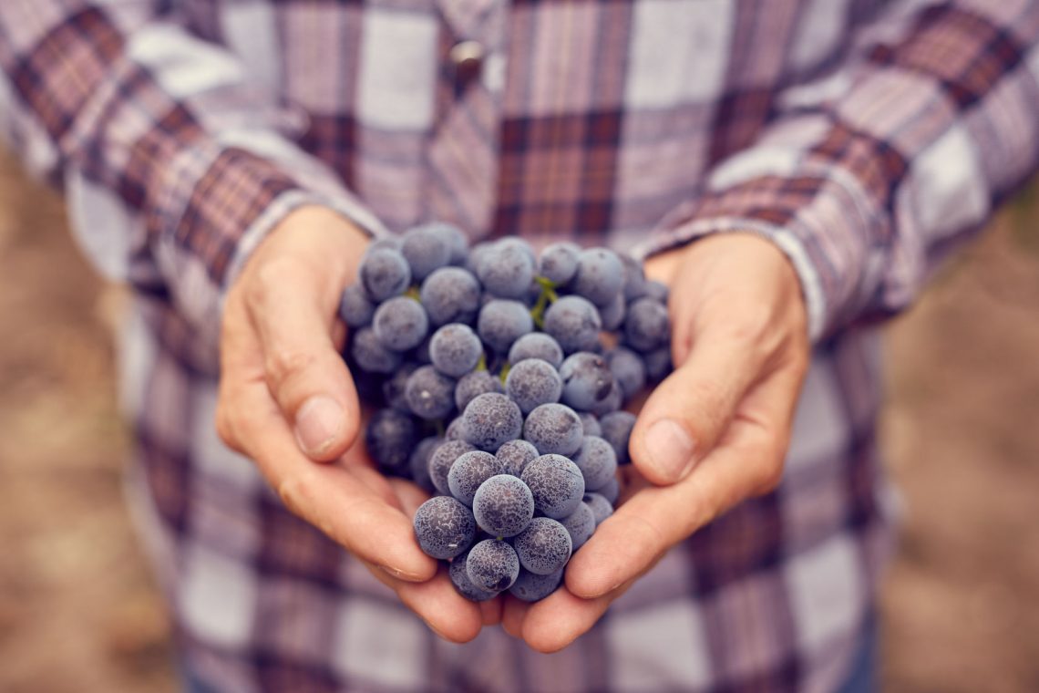 Funciones de un sommelier